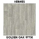 Hermes  Golden Oak 977m.webp