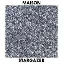 stargazer.webp