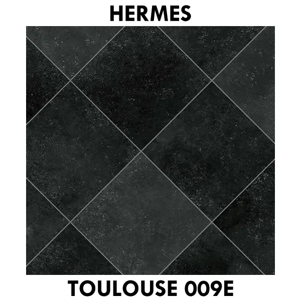 Hermes Toulouse 009e.webp