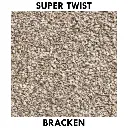 bracken.webp