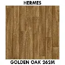 Hermes - golden Oak 262m.webp