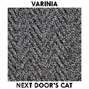 Next Door's Cat.webp