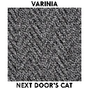 Next Door's Cat.webp