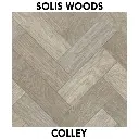 Colley.webp