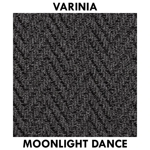 Moonlight Dance.webp