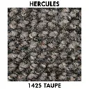 1425 Taupe.webp