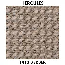 1413 Berber.webp