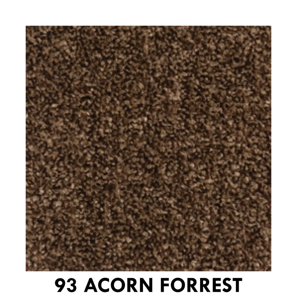 93 Acorn Forrest.webp
