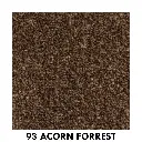 93 Acorn Forrest.webp