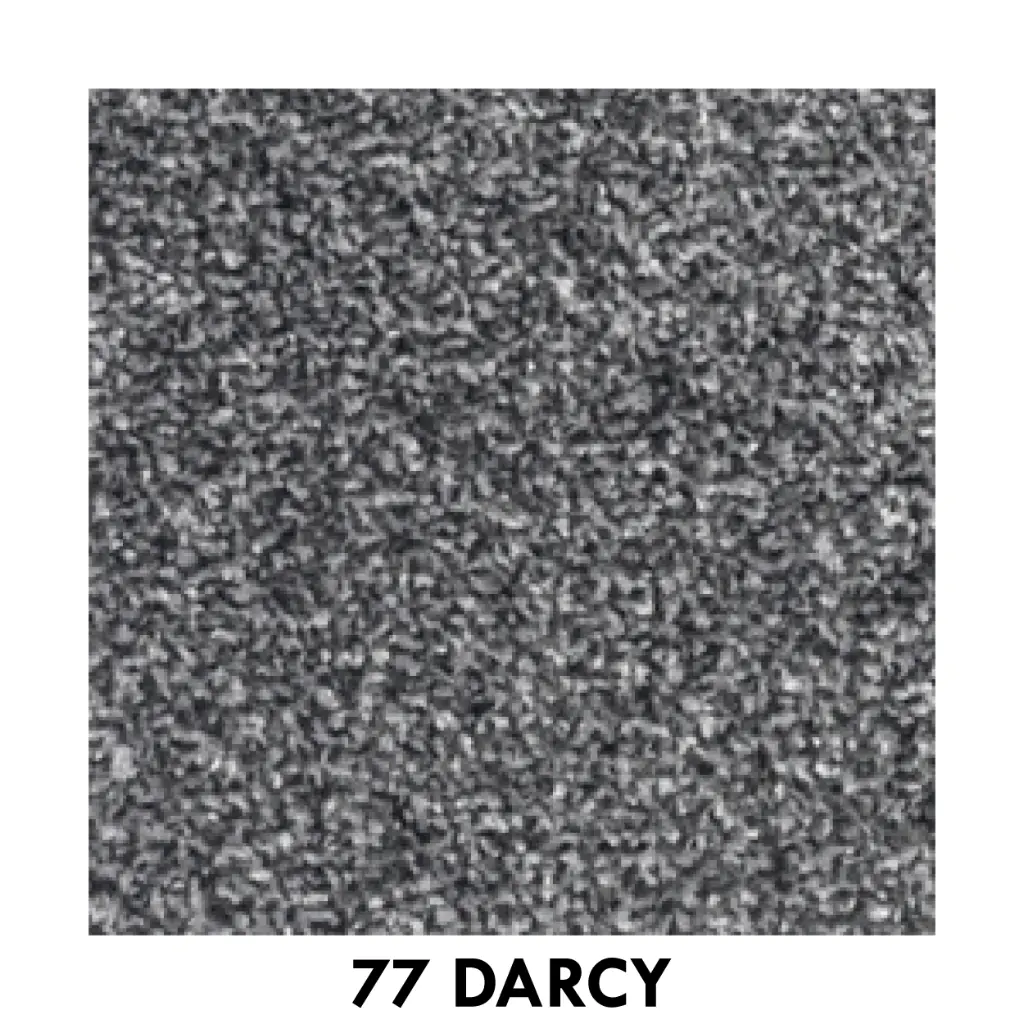 77 darcy.webp
