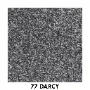 77 darcy.webp