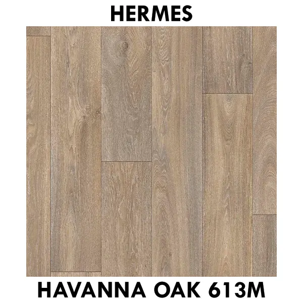 Hermes  Havanna Oak 613m.webp