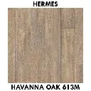 Hermes  Havanna Oak 613m.webp