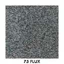 75 Flux.webp
